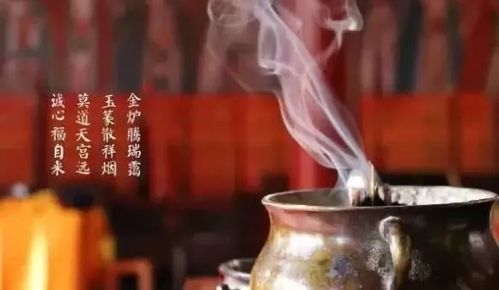 天遂人愿下一句是什么