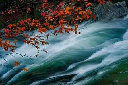 不争一时争千秋的下一句