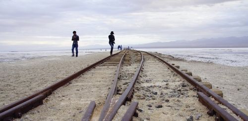 想去可可西里看海下一句