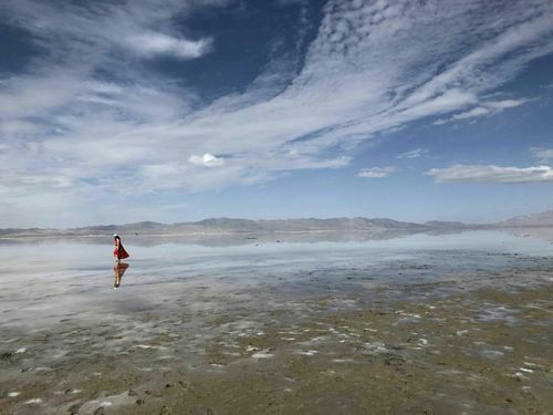 想去可可西里看海下一句