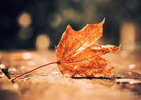 取人之长下一句