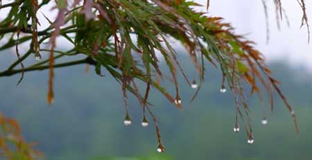 一场秋雨一场凉下一句