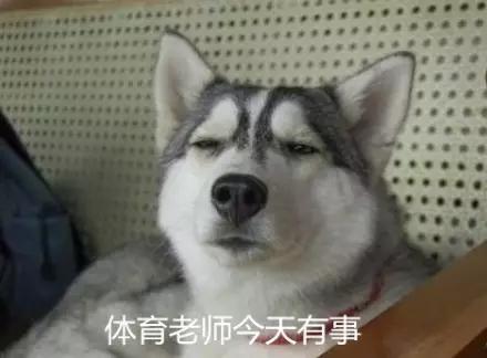 惊呆了老铁下一句是什么