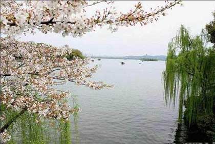 又逢梨花带雨露下一句