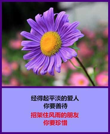 如果没有如果下一句