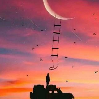 被爱是一种运气下一句