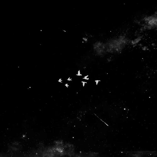 手握日月摘星辰下一句