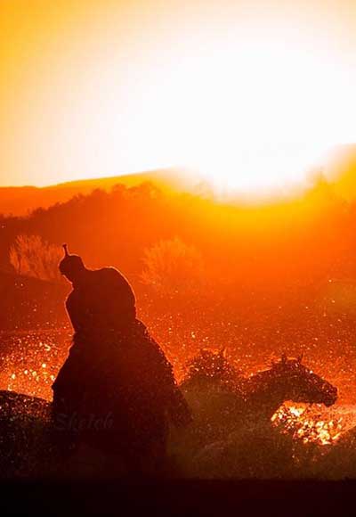 所向无空阔的下一句