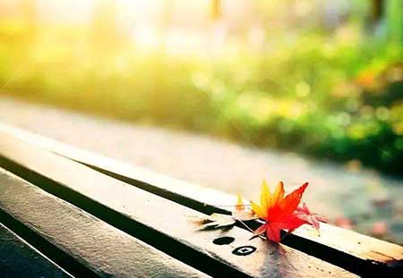 逞一时口舌之快下一句