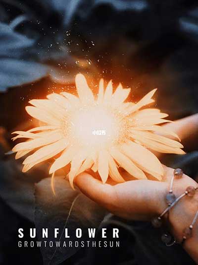 逐光而行下一句