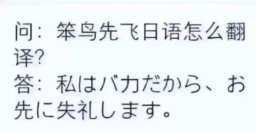 笨鸟先飞的下一句