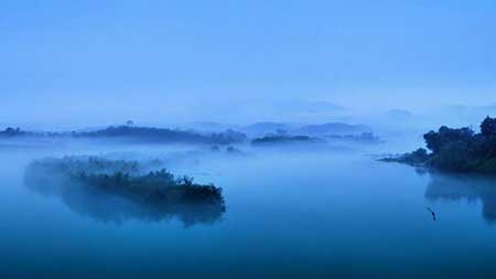 桃花潭水深千尺的下一句是