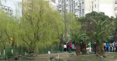 风吹杨柳千门绿下一句