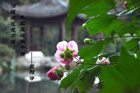 乱红飞过秋千去下一句