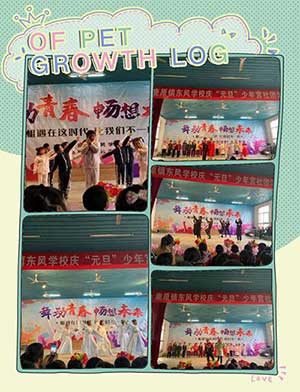 舞动青春下一句