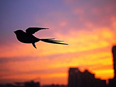 日落胭脂红的下一句是什么