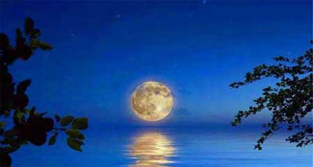 江天一色无纤尘下一句