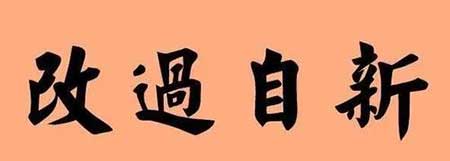 知错能改下一句是什么