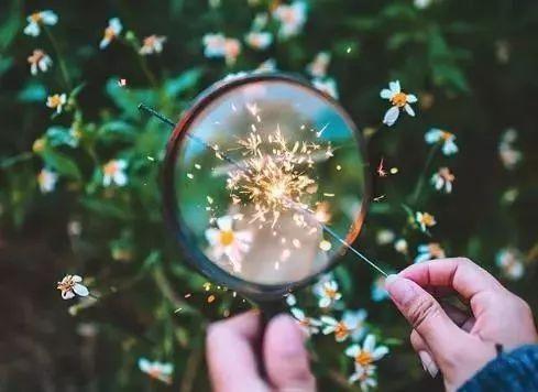 金无足赤下一句是