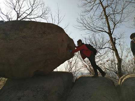 蚍蜉撼大树下一句