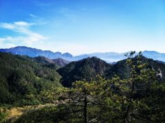 青山不老的下一句(全句意思及前后句)