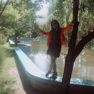 爱如潮水下一句