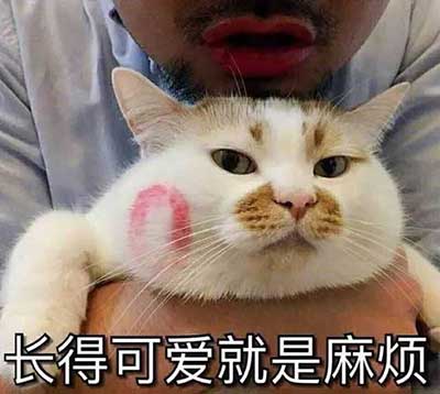 猝不及防的狗粮下一句