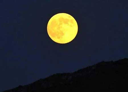 更深月色半人家的下一句