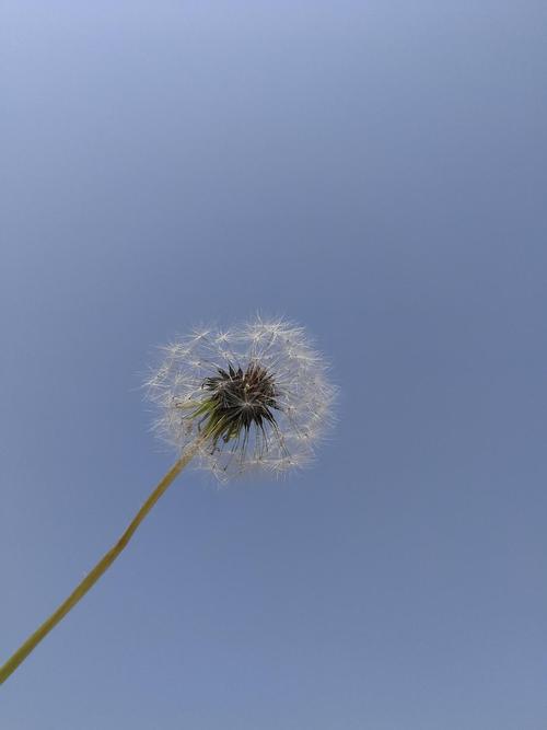 沿途有你下一句