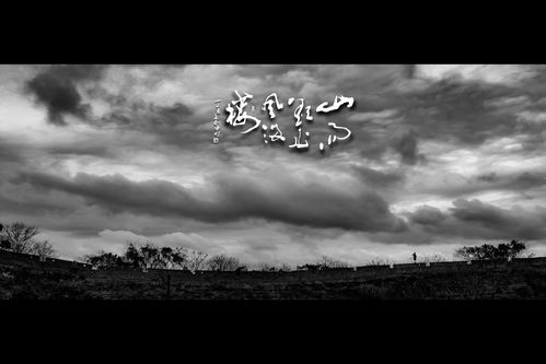 风雨欲来花满楼下一句