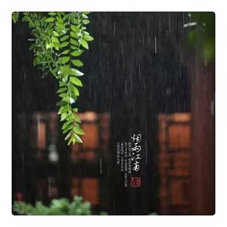 木已成舟下一句