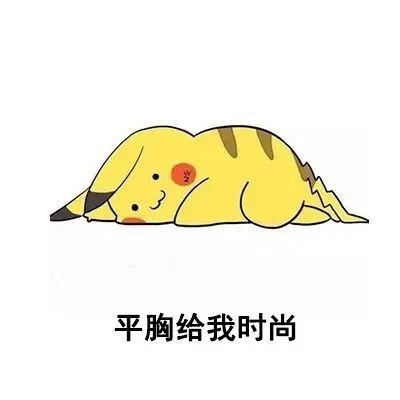 我平胸我骄傲我为国家省布料下一句