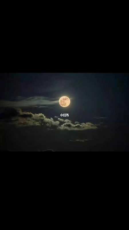 我对着月亮许愿下一句