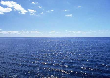 人生海海的下一句是啥