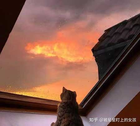 你是人间清醒下一句是什么