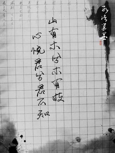 山有木兮木有枝的下一句
