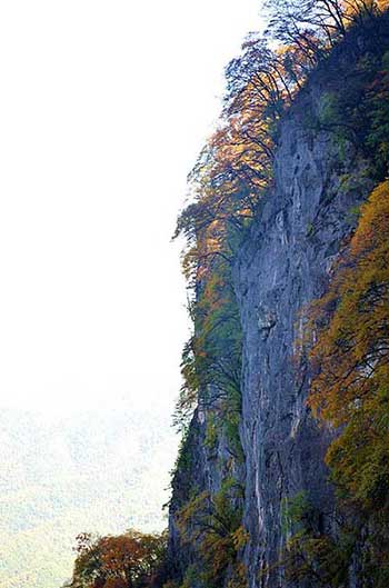 壁立千仞下一句