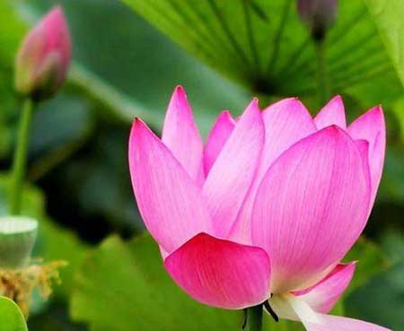 好运连连下一句