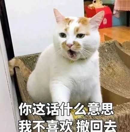 你这话我没法接下一句