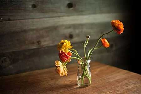 承你吉言下一句是什么