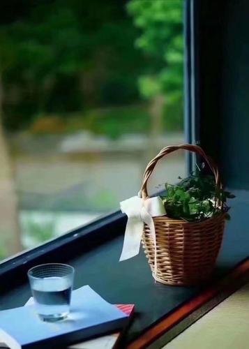 墨染流年下一句