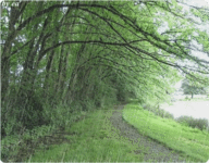 听风听雨听心声下一句