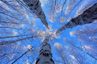 冬天来了下一句