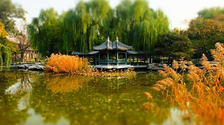 城上斜阳画角哀下一句是什么