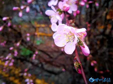 一场春雨一场暖下一句
