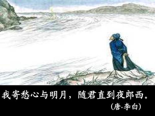 共看明月应垂泪下一句