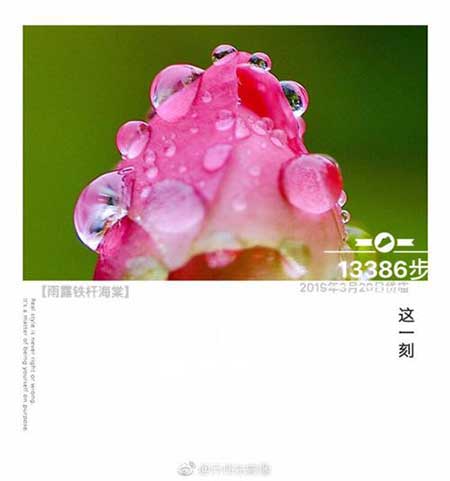 春雨贵如油下一句