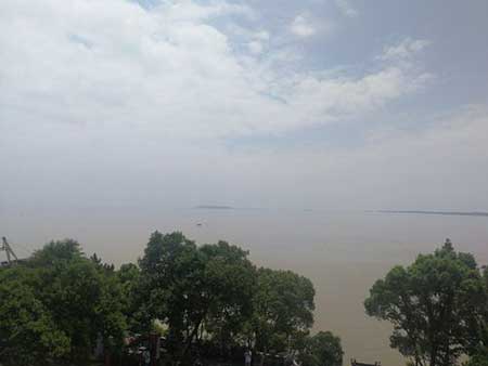 此行不为鲈鱼鲙下一句