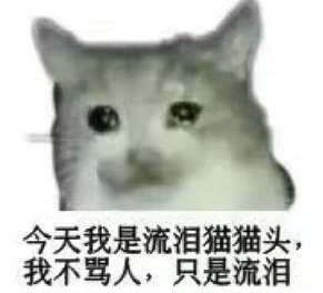 猫哭耗子下一句