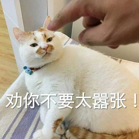 不要问我为什么下一句